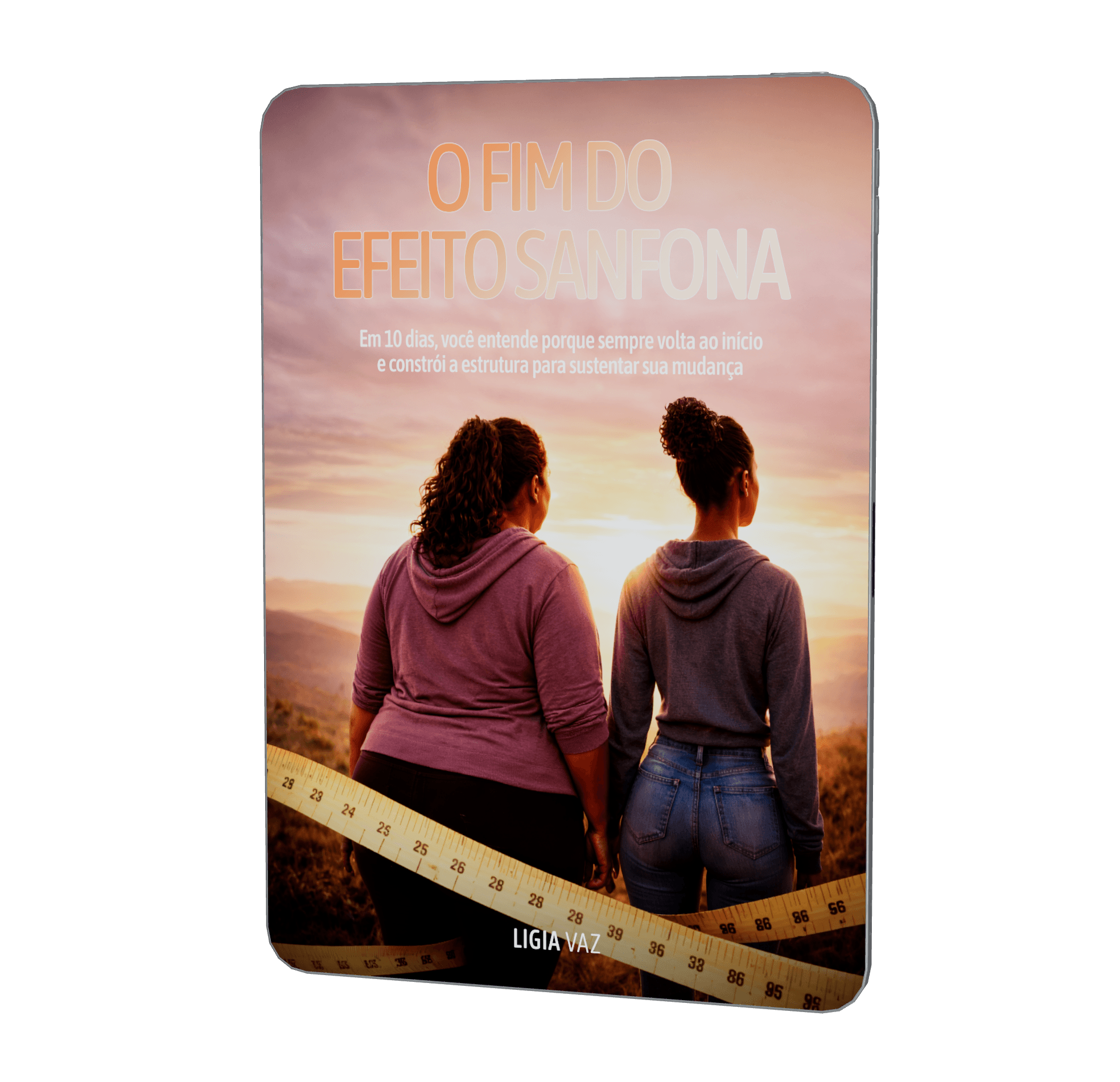 O FIM DO EFEITO SANFONA